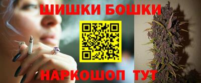 apvp Камышлов