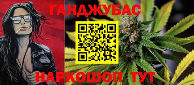 apvp Камышлов