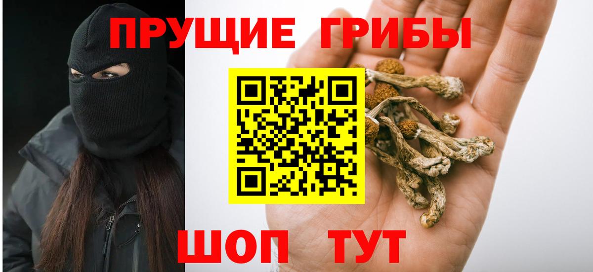 Галлюциногенные грибы Psilocybe Усть-Илимск